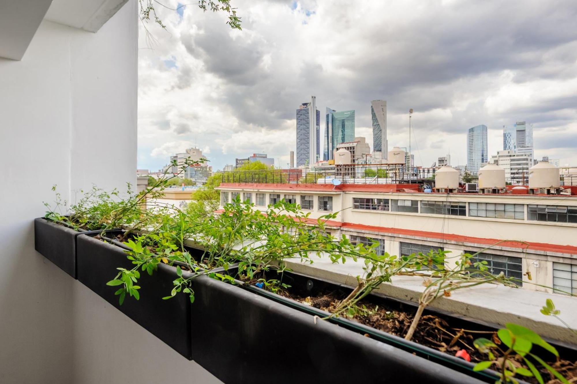Colima 340 By Wynwood House Apartment Mexico City Exterior photo